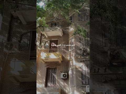 ضيعت عليه العمر يابويا خالد الصيفي عبدالحليم حافظ على حسب وداد العندليب حالات واتس ضيعت عليه العمر يابويا خالد الصيفي عبدالحليم حافظ على حسب وداد العندليب حالات واتس