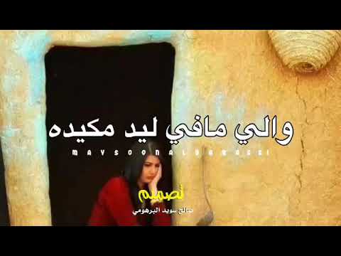 عبد الكريم المالكي دارك منحازه