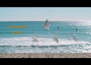 بحلم فريق المس ايدينا