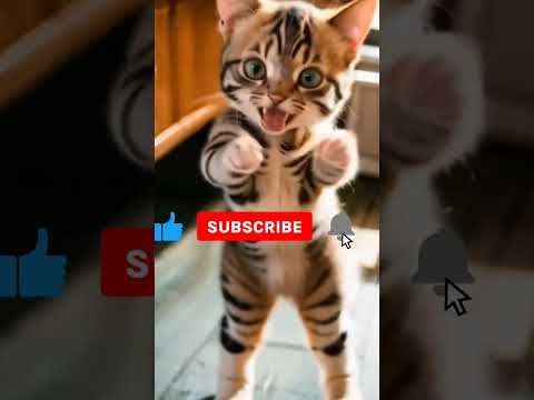 غيث قلبى يا ناس غيث غيث غيث