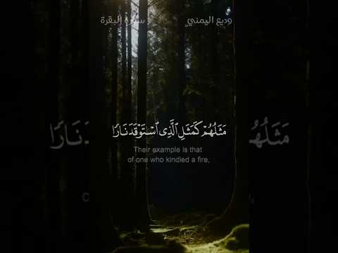 تلاوة بديعة تريح القلب الشيخ وديع اليمني من سورة البقرة