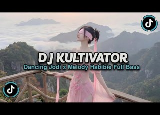  DJ DANCING JODI X TUJH MEIN RAB DIKHTΤΑ HAI X MELODY HABIBIE SLOW FULL SONG TIKTOK TERBARU