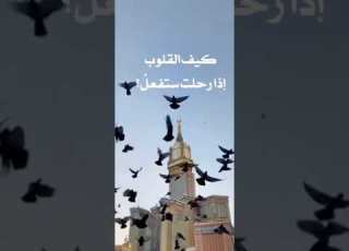 بكت العيون على وداعك حرقة رمضان