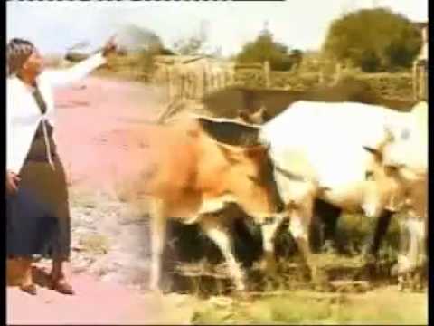 PEACE MULU HAPO NIMEFIKA