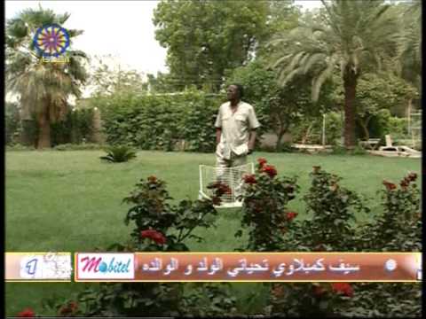 أعذريني إسحق الحلنقي وسيف الجامعة