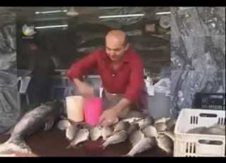 Shawani Ramazan Masi