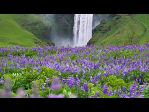 اغاني فيروز مع مناظر طبيعية فيروز لبنان مناظر طبيعية