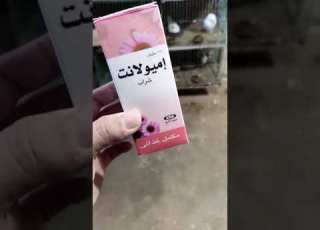 افضل رافع مناعه للحمام والطيور والارانب اميولانت فن تربية الحمام Shorts