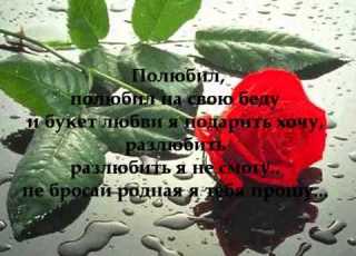 Эльдар Далгатов Полюбил Eldar Dalgatov Polubil And Lyrics