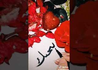 وصيتي ليك