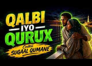  QALBI IYO QURUX