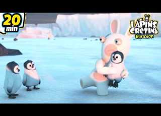  Le Bébé Pingouin Devient Un Champion Les Lapins Crétins Invasion Compilation Dessin Animé