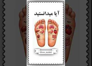  آیا میدونستی کف پاهات به کل بدنت وصل است راز عجیب بدن انسان