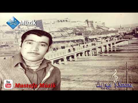 هابه خوريات ده للى حسنى 1973