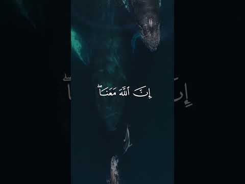 لا تحزن ان الله معنا القارئ عبدالرحمن مسعد قرآن لا تحزن ان الله معنا القارئ عبدالرحمن مسعد قرآن