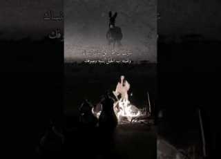  شريت الي حمار على شان ابنساك