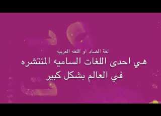  لغتي هويتي ثانويه٢٦
