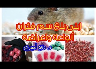  ابنى بلع سم فئران اتعرفى على أنواعه وازاى تتصرفى