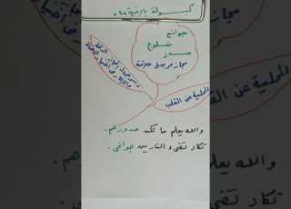 كبسولة بلاغية رقم 4 المجاز المرسل أ جوانح وضلوع و مجاز مرسل