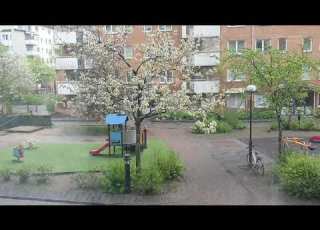 الهاشمي قروابي الله يرحمو غالط في حسابك