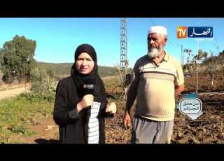 من عمق الجزائر الحاج جمال من التقاعد إلى الفلاحة قصة حب مع الأرض