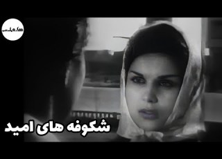  فیلم قدیمی فیلم قدیمی شکوفه های امید با بازی حمیده خیر آبادی ۱۳۴۴ هزار و یک شب