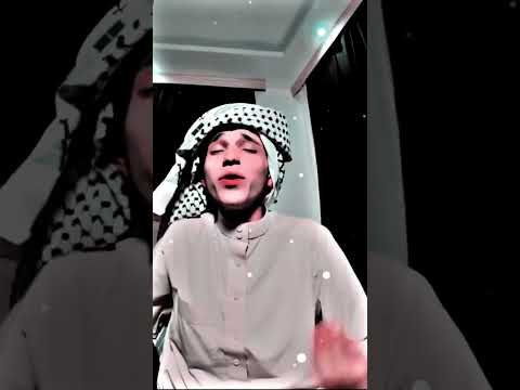 يل برتقالة طرب بارق