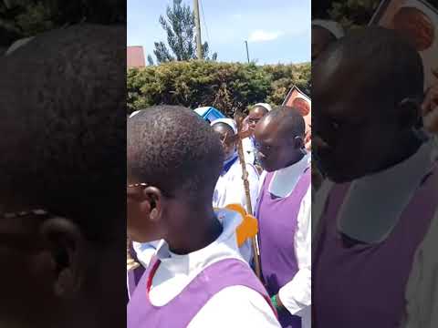 Beautiful Melodies Shorts