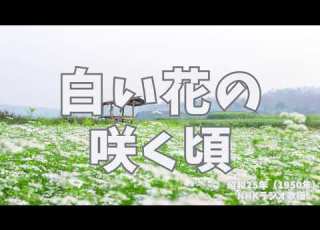 白い花の 咲く頃 昭和の歌 ラジオ歌謡 国民歌謡