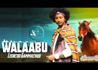  New Oromoo Music LENCO GAMMACHU