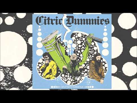 CITRIC DUMMIES Split With Turnstile 2025 Full Album