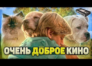  Дорога домой Невероятное путешествие Прекрасное семейное кино