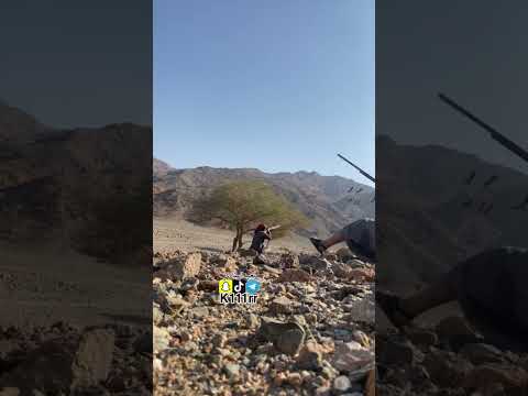 رمي رهو كرك