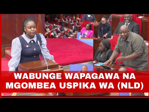 WABUNGE WAPAGAWA NA MGOMBEA WA USPIKA WA NLD WATUPA SWAGA HADHARANI WAMBANANISHA KWA HOJA NZITO