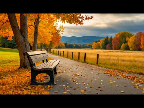 موسيقى كلاسيكية مريحة بيتهوفن موزارت باخ شوبان فيفالدي