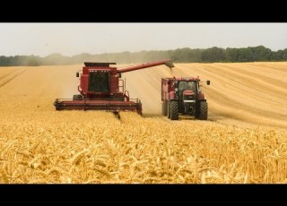  This Is How Australian Farmers Produce Millions Of Tons Of Wheat