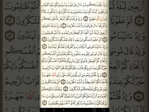 ماهر المعيقلي سورة البقرة مكتوبة صفحة 8 مصحف المدينة المنورة جودة عالية ماهر المعيقلي سورة البقرة مكتوبة صفحة 8 مصحف المدينة المنورة جودة عالية