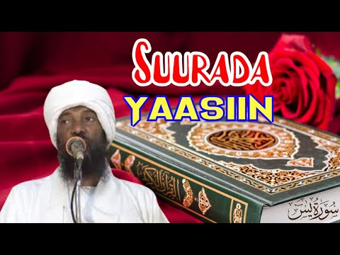 Suurada Yaasiin Sheekh Axmed Maxamed Daahir Alfa Salaam TV