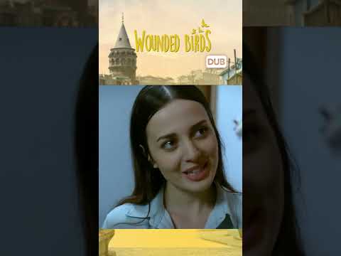 Shorts كانت حماتها تغار الطيور المجروحة 92 مدبلج عربي