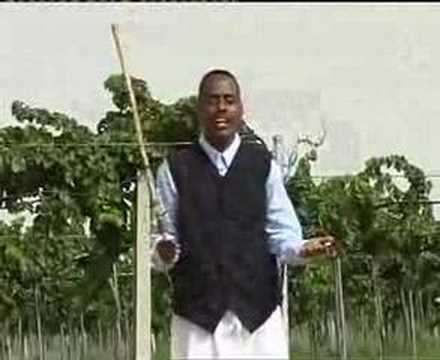 ERITREA Bilen Song By Melekin Atombos