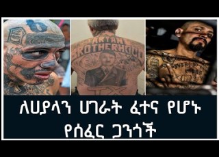 ለሀያላን ሀገራት ፈተና የሆኑ የሰፈር ጋንጎች ወሮበሎች Dangerious Gangester In The World Danos ዳኖስ