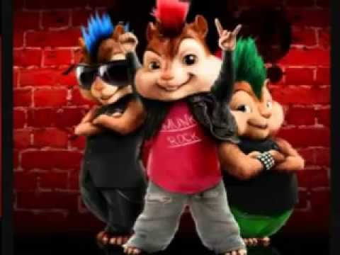 مهرجان الحب طلع كمين 2017 بصوت السناجب