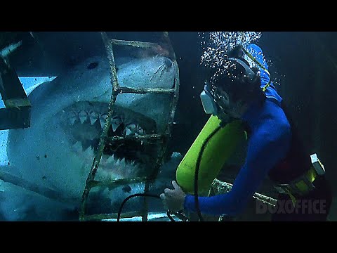 Stuck In A Wreck With A Shark Jaws The Revenge CLIP