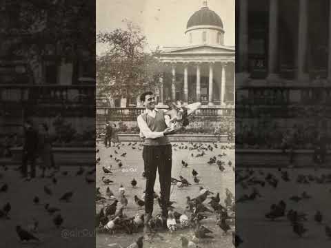 ضحكت تاني نفس الضحكة وراحت ماشية عبدالحليم حافظ فاتت جنبنا