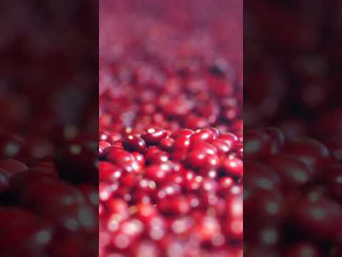 ما فوائد الفاصوليا لمرضى السكري