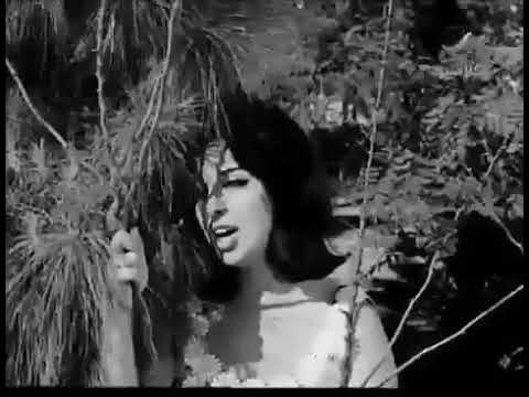 حاله واتس نجاة الصغيره يا رايح للي فايتلي عيوني جميله جدآ حاله واتس نجاة الصغيره يا رايح للي فايتلي عيوني جميله جدآ