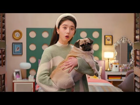 بنت فقيره بتترمي فالشارع فبيقرر شاب غني ياخدها تعيش معاه بس الصدمه انه بخيل وعايزها تشتغل خدامه ليه