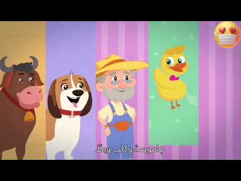 البط يقوم فرحان من النوم يغطس ويعوم وهات يا لعب جدو على