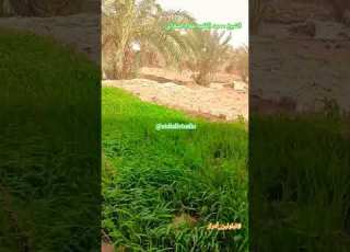  القارئ محمد الفقيه Quran سماع طيب لصوت رائع