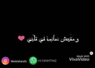 انا لو عليا يا حبيبي عيزك هنا جمبي